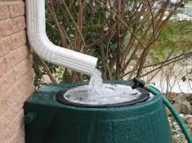 Rain water harvesting system